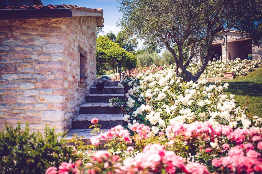 Agriturismo Casal San Sergio Fossombrone Buitenkant foto